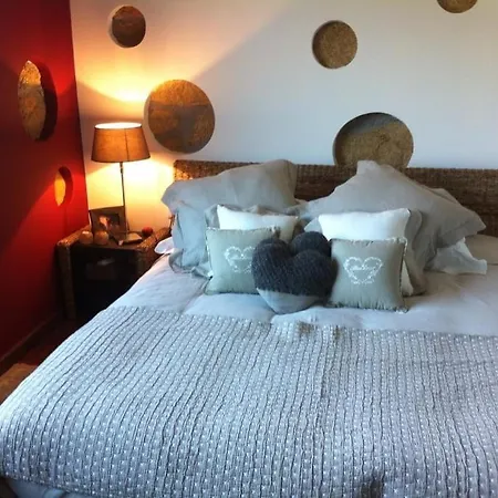 Paraiso Relax No Douro Villa *