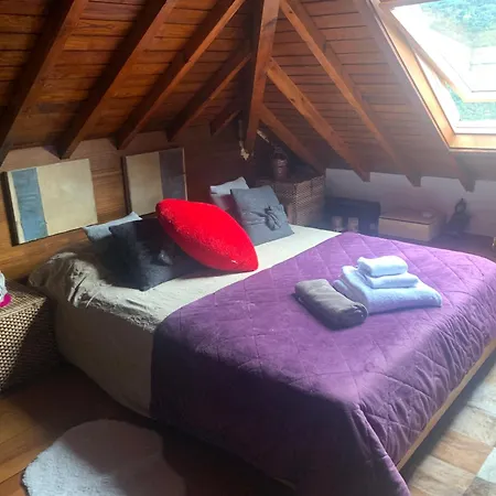 Paraiso Relax No Douro * Sao Cristovao da Nogueira