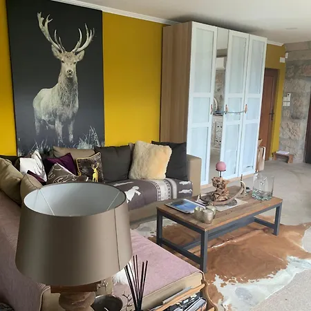 Paraiso Relax No Douro