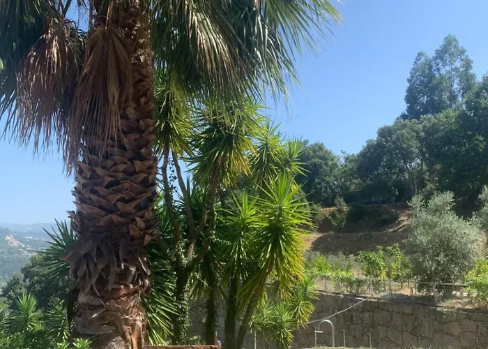 Paraiso Relax No Douro Villa